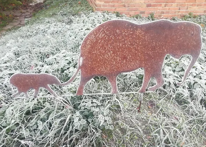 Zirkuswagen Glamping Für 2 Mit Veranda Küche Netflix Parken Und Hofladen Steinhofel