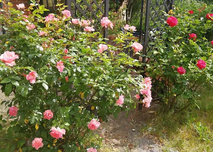 Zirkuswagen Glamping Für 2 Mit Veranda Küche Netflix Parken Und Hofladen Apartamento